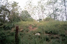 역사·문화 > 문화유산 > 글보기 의령군청 | 문화관광