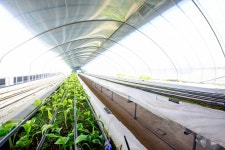 축제·행사·체험 > 체험관광 > 글보기 의령군청 | 문화관광