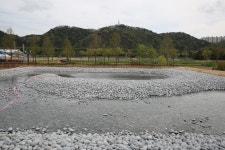 태화강 국가정원 > 커뮤니티 > 사진갤러리 울산광역시 태화강국가정원