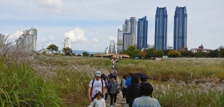 태화강 국가정원 > 커뮤니티 > 사진갤러리 울산광역시 태화강국가정원