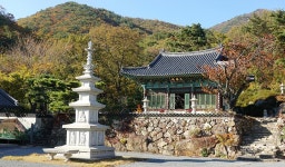 울산수목원 > 커뮤니티 > 주변관광지 울산수목원