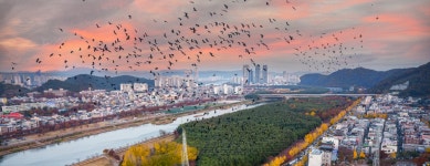 울산관광