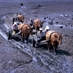 울산문화예술회관