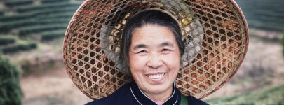 Food Systems Summit | United Nations