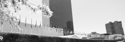 Visitors Services | United Nations