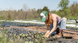 Making the case for sustainable business solutions | United Nations