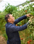 Transition to renewable energy sources: economic benefits for entrepreneurs in Kazakhstan | United Nations Development Programme... 
