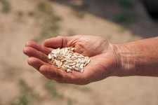 Water is the source of life: UNDP helps farmers in Almaty restore their water resources | United Nations Development Programme... 