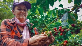 FairShare Programme | UNIDO