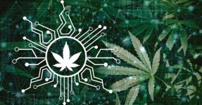 #420: 大麻と機械学習、ジョイントベンチャー - Unite.AI
