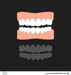 투명교정기 일러스트 백터 ai 다운로드 clear orthodontics vector - 어반브러시