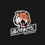 승리 태권도 호랑이 로고 일러스트 ai 다운로드 download Victory taekwondo tiger logo - 어반브러시