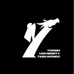 용인대 Y 태권도 발차기 로고 디자인 일러스트 벡터 다운로드 - 어반브러시