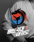 용인대 태권도 태권도장 로고 디자인 일러스트 벡터 다운로드 - 어반브러시