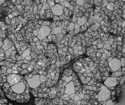 셀206바이오주식회사 | [어스바이오] Cell Systems 한국 공식 대리점 - 전문 수입/통관 | 연구용제품 > Bio마켓 | BRIC