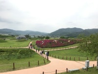 의성 조문국 박물관 > 열린마당 > 포토갤러리