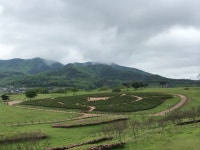 의성 조문국 박물관 > 열린마당 > 포토갤러리