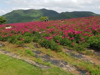 의성 조문국 박물관 > 열린마당 > 포토갤러리