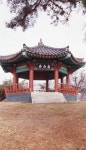 의성 조문국 박물관 > 사진아카이브 > null