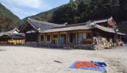 의성 조문국 박물관 > 사진아카이브 > null