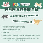 (글보기)의성 펫월드 반려견 훈련클럽 운영 | 공지사항 | 알림마당 | 의성펫월드 의성군, 의성펫월드