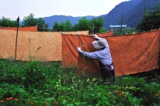 (글목록)포토갤러리 | 관광사진ㆍ홍보영상 | 커뮤니티 | 의성군 문화관광 의성군 관광문화