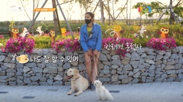 (글목록)펫월드 소식 | 알림마당 | 의성펫월드 의성군, 의성펫월드