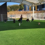 (글보기)2022년 11월 6일 의성 펫월드 | 펫월드 소식 | 알림마당 | 의성펫월드 의성군, 의성펫월드