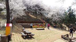 (글보기)구봉산 유아숲체험원 사진입니다~ | 공지사항 | 소통참여 | 의성군 의성군청, 의성군, 의성, 군청, Uiseong