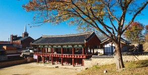 음식 | 음식/숙박 | 의성에 가면 | 의성군 문화관광 의성군 관광문화