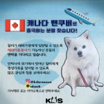     밴조선장터     :: PET    