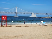 부산 관광 아카이브 > 광안리해수욕장 BUSAN TOURISM ARCHIVE | 부산 관광 아카이브: 공식 관광 사진, 자료, 이미지, 영상, 문서 자료