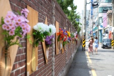 부산 관광 아카이브 > 전포 카페거리 BUSAN TOURISM ARCHIVE | 부산 관광 아카이브: 공식 관광 사진, 자료, 이미지, 영상, 문서 자료