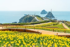 부산 관광 아카이브 > 오륙도해맞이공원 BUSAN TOURISM ARCHIVE | 부산 관광 아카이브: 공식 관광 사진, 자료, 이미지, 영상, 문서 자료