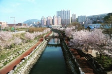 부산 관광 아카이브 > 동삼해수천 BUSAN TOURISM ARCHIVE | 부산 관광 아카이브: 공식 관광 사진, 자료, 이미지, 영상, 문서 자료