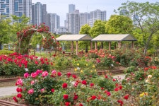 부산 관광 아카이브 > 부산시민공원_7 BUSAN TOURISM ARCHIVE | 부산 관광 아카이브: 공식 관광 사진, 자료, 이미지, 영상, 문서 자료