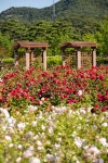 부산 관광 아카이브 > 해운대수목원_2 BUSAN TOURISM ARCHIVE | 부산 관광 아카이브: 공식 관광 사진, 자료, 이미지, 영상, 문서 자료