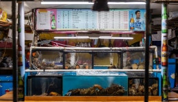 낭만 추억 만들어 주는 해운대 포장마차: 여행준비 : 여행큐레이션 : 여행큐레이션 상세: 부산시 공식 관광 포털 비짓부산 visit busan 낭만... 