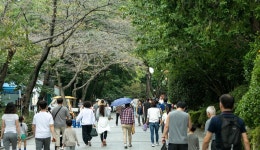 아이와 함께 자연 속으로 어린이대공원: 부산에가면 : 명소 : 명소 상세: 부산시 공식 관광 포털 비짓부산 visit busan 아이와 함께 자연... 