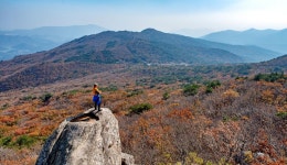 金井山: 旅の実用情報 : スタイルで選ぶ : スタイルで選ぶ: 부산시 공식 관광 포털 비짓부산 visit busan 金井山: 旅の実用情報... 