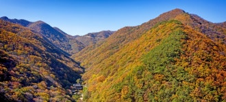 Gijang Bulgwangsan Forest Trail with its beautiful five colors : Recommended Tour : Walking Tour : Walking Tour: 부산시 공식 관광... 