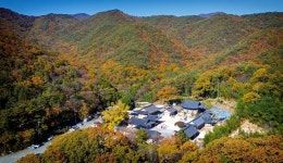 Gijang Bulgwangsan Forest Trail with its beautiful five colors : Recommended Tour : Walking Tour : Walking Tour: 부산시 공식 관광... 