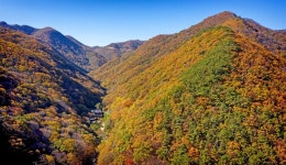 불광산과 그 계곡을 두른 천년고찰 장안사: 부산에가면 : 명소... 천년고찰 장안사: 부산에가면 : 명소 : 명소 상세: 부산시 공식 관광 포털... 