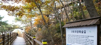 함께 즐기는 아름다움, 구포무장애숲길: 추천여행 : 도보여행 : 도보여행 상세: 부산시 공식 관광 포털 비짓부산 visit busan