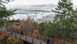 함께 즐기는 아름다움, 구포무장애숲길: 추천여행 : 도보여행 : 도보여행 상세: 부산시 공식 관광 포털 비짓부산 visit busan