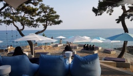 부산 낭만카페35선 3편: 여행준비 : 여행큐레이션 : 여행큐레이션... 낭만카페35선 3편: 여행준비 : 여행큐레이션 : 여행큐레이션 상세... 