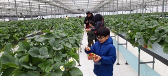 비짓부산 visit busan 주말 소풍으로 딱 좋은 농장체험: 여행준비 : 여행큐레이션 : 여행큐레이션 상세: 부산시 공식 관광 포털 비짓부산 visit... 