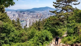 Walk of the day_Conquer the forest trail at Soemisan Forest Trail: Recommended Tour : Themed Tour : Themed Tour: 부산시 공식 관광... 