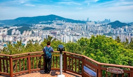Walk of the day_Conquer the forest trail at Soemisan Forest Trail: Recommended Tour : Themed Tour : Themed Tour: 부산시 공식 관광... 