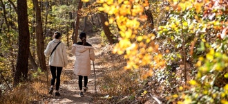 기장 달음산 자연휴양림: 여행준비 : 여행큐레이션 : 여행큐레이션... 기장 달음산 자연휴양림: 여행준비 : 여행큐레이션 : 여행큐레이션... 